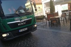 Autospeciala-Brai-Cata