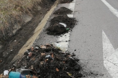 WhatsApp-Image-2019-03-16-at-09.00.59