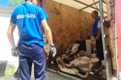 Brai-Cata-Vâlcea-7